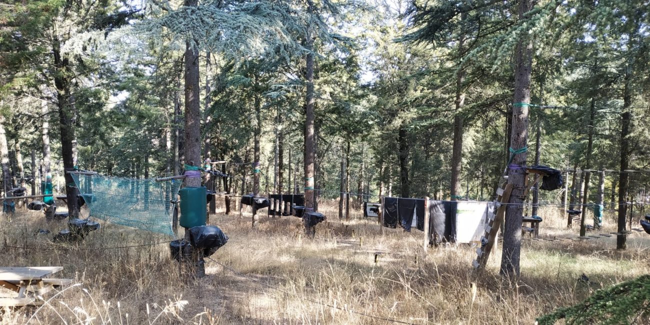 WhatsApp Image 2020-08-14 at 12.10.07