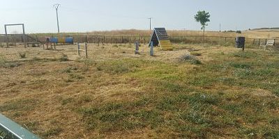 20210813 Estado de conservación del parque de San Isidro